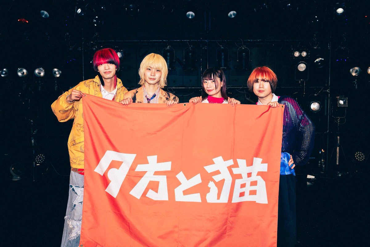 夕方と猫 tweet media