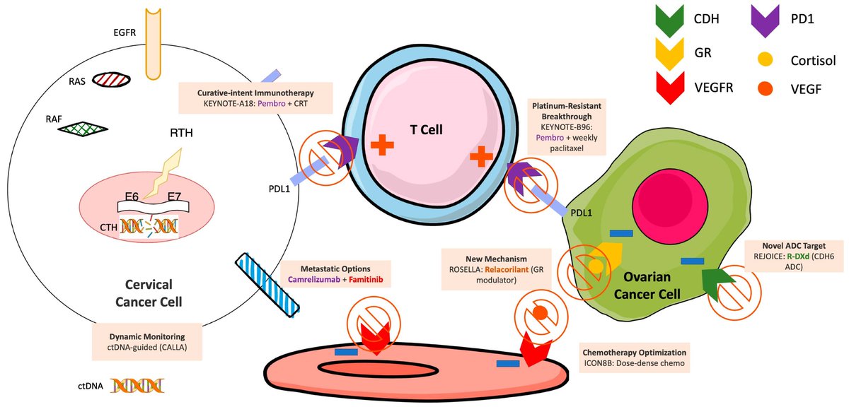 Biomed_MDPI's tweet photo. A new systematic review in Biomedicines synthesizes landmark GynecologicOncology advances covering new immunotherapy standards &amp; biomarker-driven care
https://t.co/rmFes5JVDP https://t.co/r8vmD9Np6r