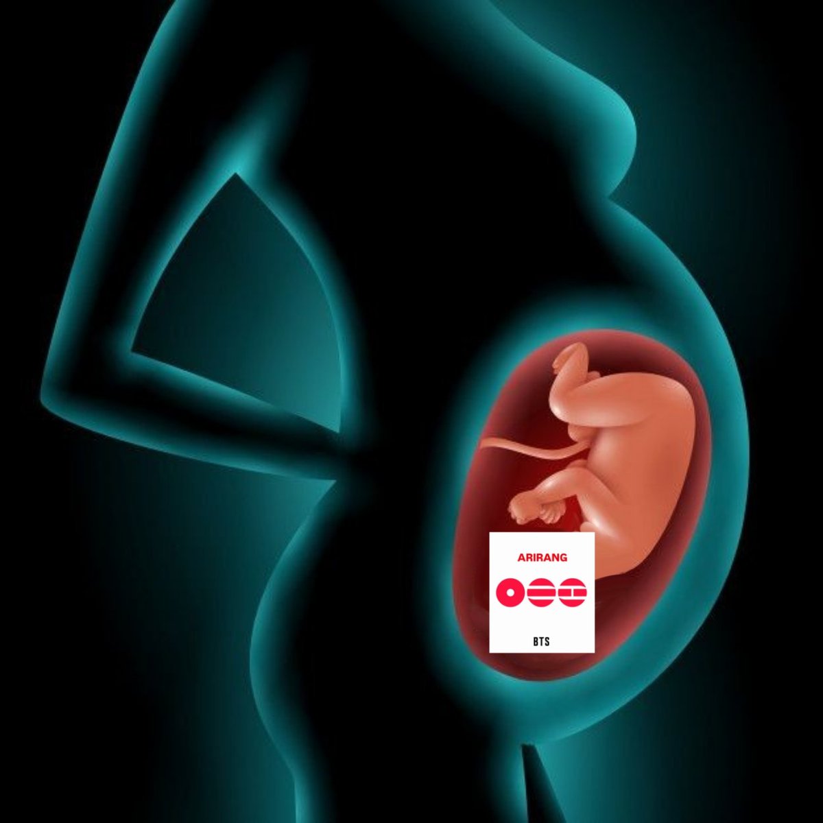 flora. 𝑨𝑹𝑰𝑹𝑨𝑵𝑮 ⦿ ☰ ☲ 🪭 tweet media