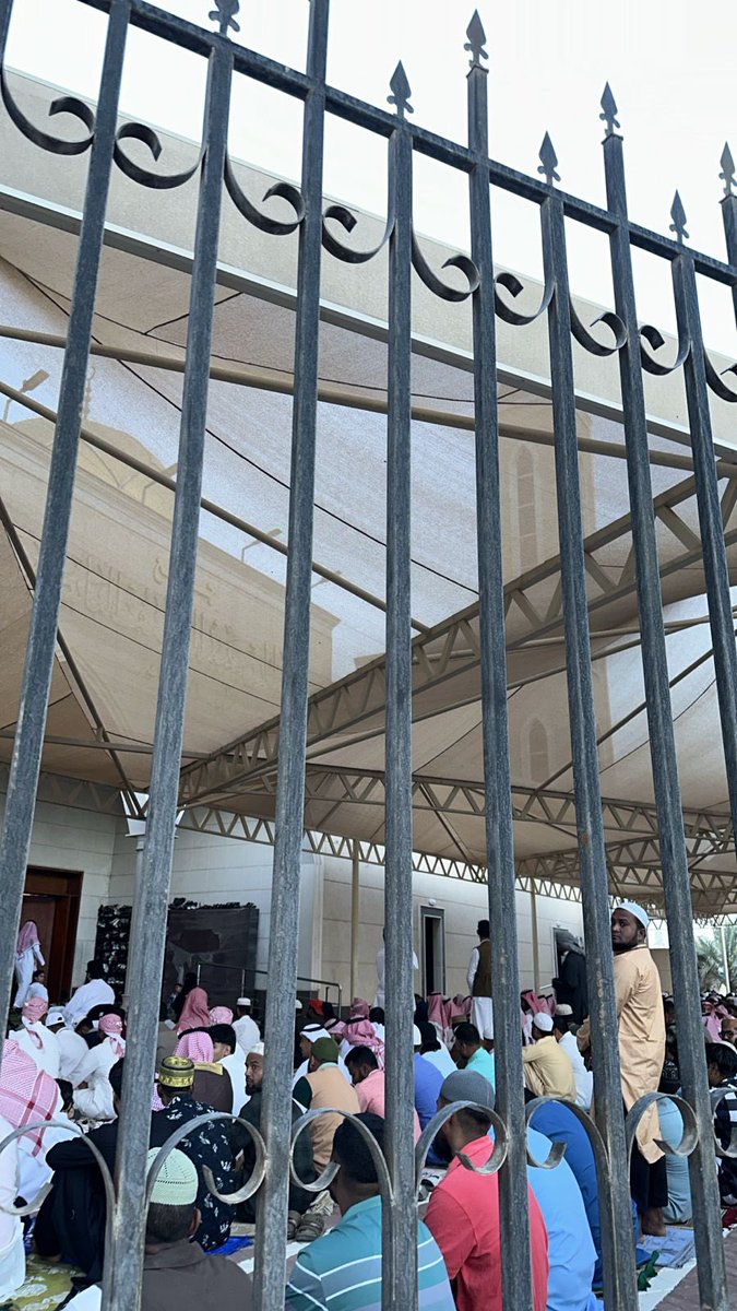 SHAMROKH tweet media