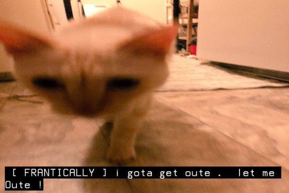 伏黒恵 ‍𓅗 ⸝⸝ ‍ 𝖿𝗎𝗌𝗁𝗂𝗀𝗎𝗋𝗈 ˒ ‍ ‍ tweet media