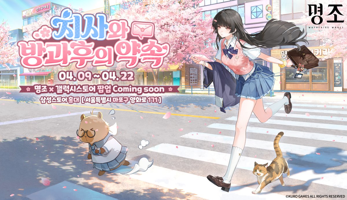 명조:워더링 웨이브 tweet media