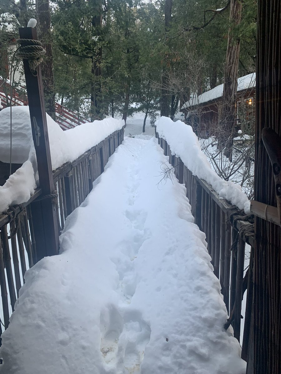 Chip Witley tweet media