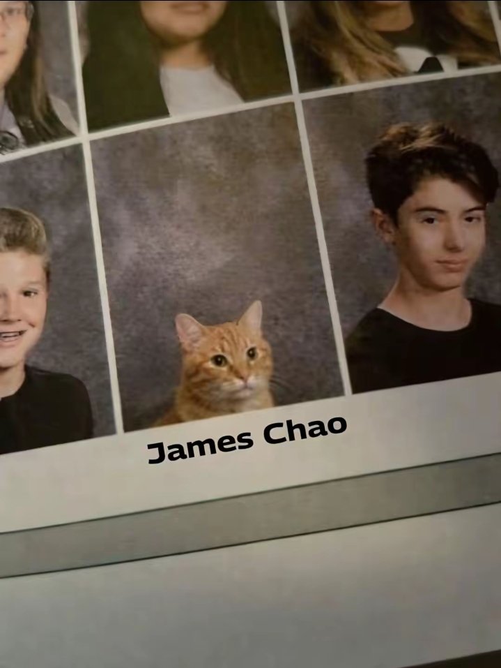 cinemere tweet media