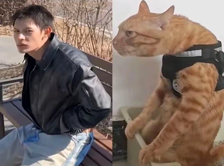 cinemere tweet media