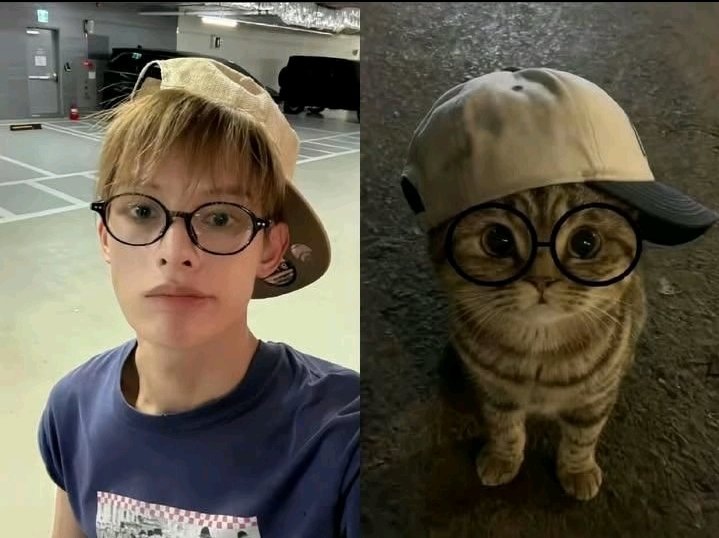 cinemere tweet media