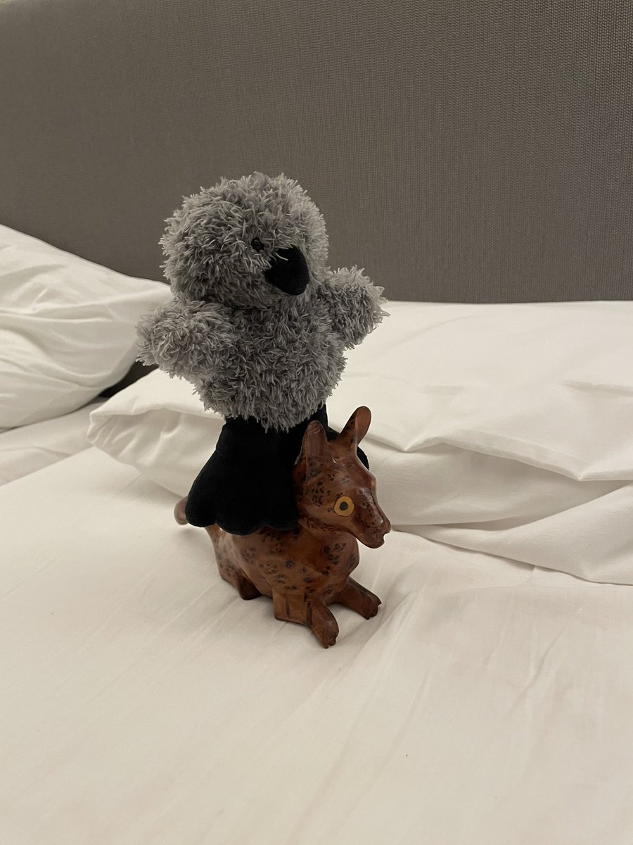 호즈미 tweet media