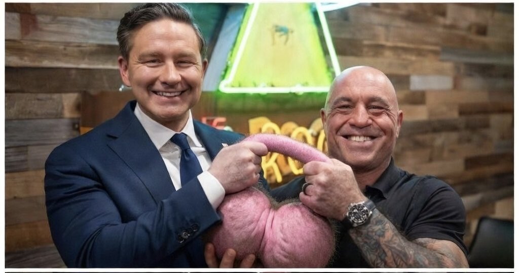 liberalsupporter tweet media