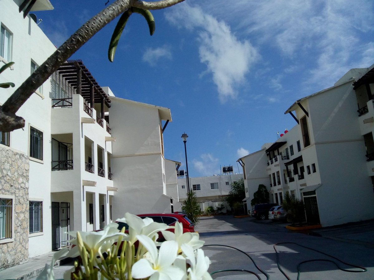 Betty García Real Estate tweet media