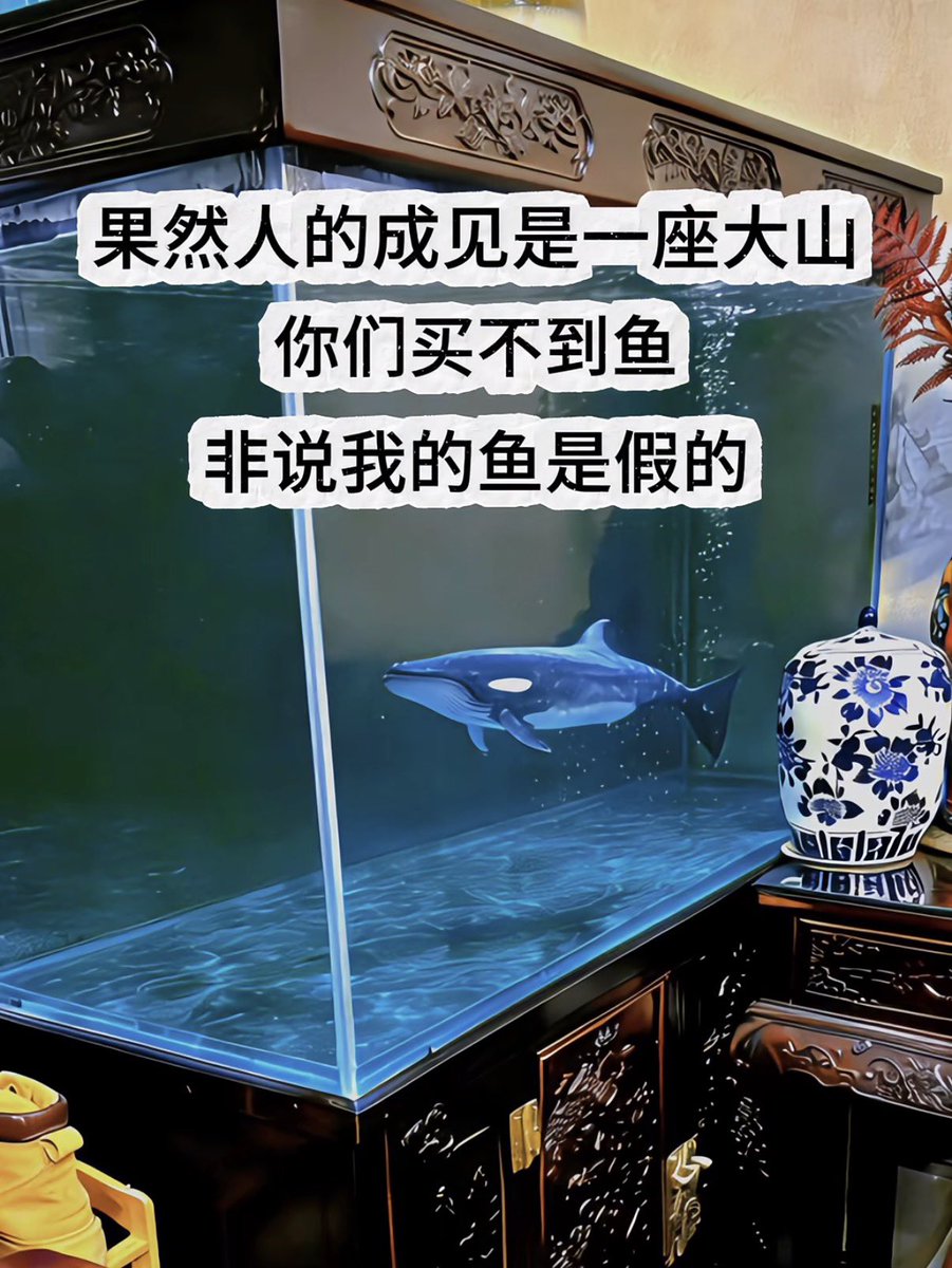 禿道道🐟 tweet media