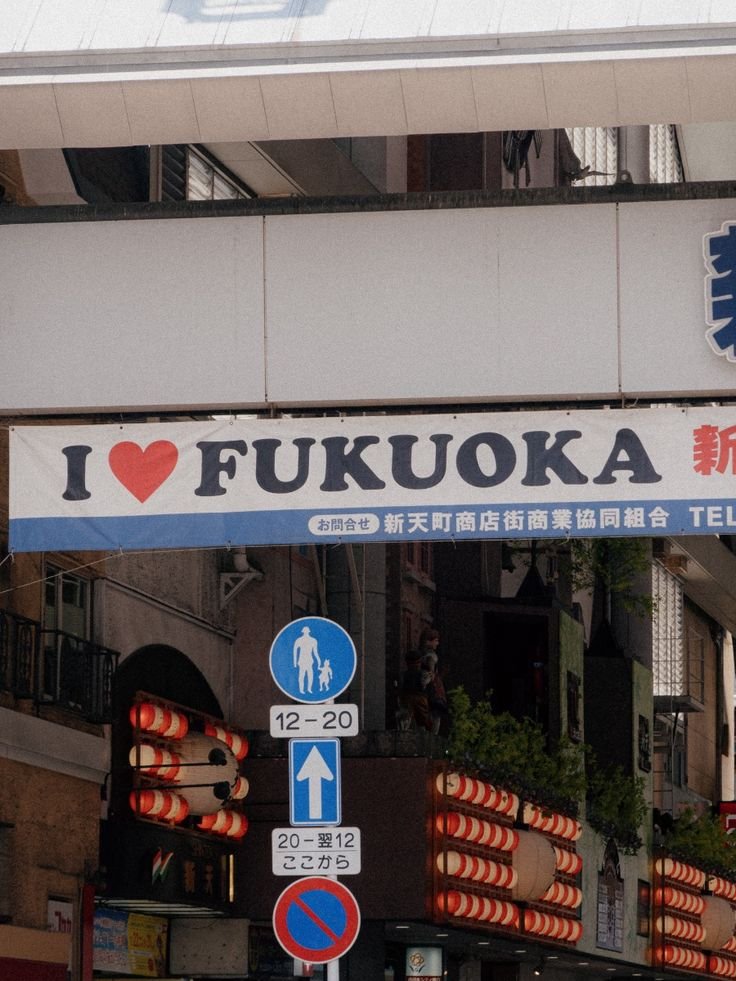 알리오올리오곤룡 tweet media