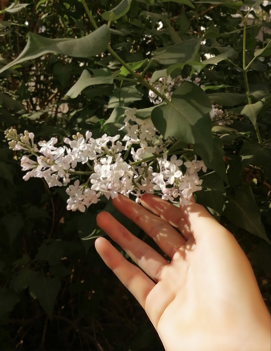 Yuzii 悠司 tweet media