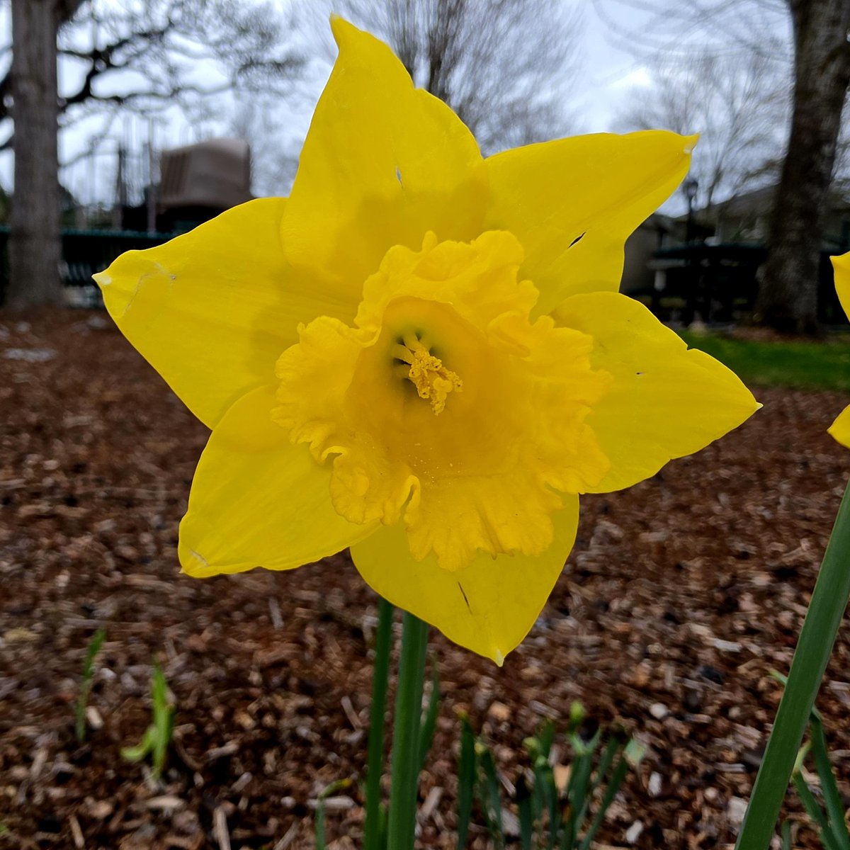 🐺🛡️ArmorOfFaith tweet media