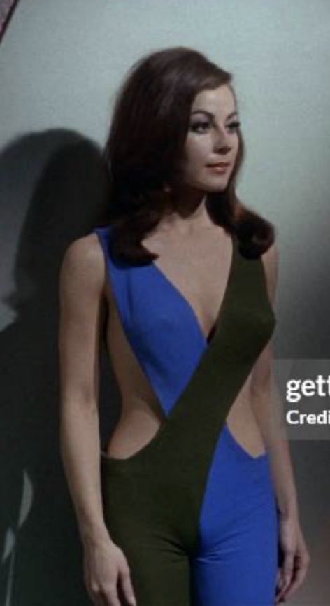 Mermaid Bear🐻⚓️ tweet media