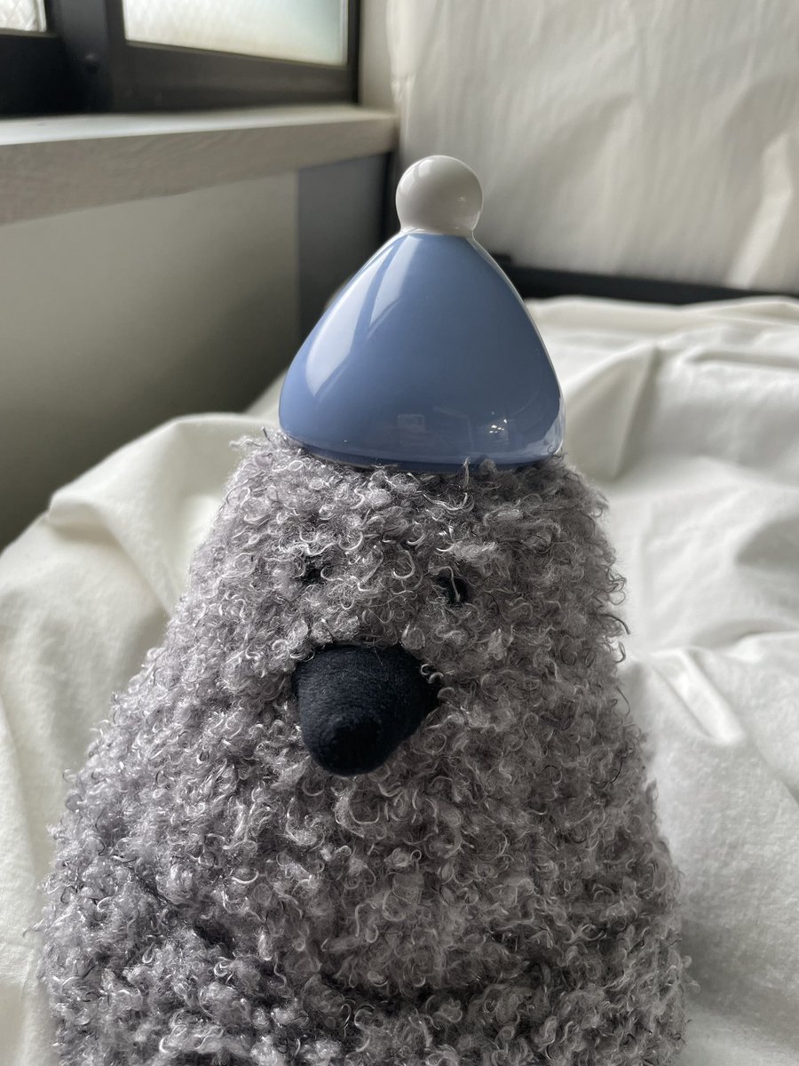 호즈미 tweet media