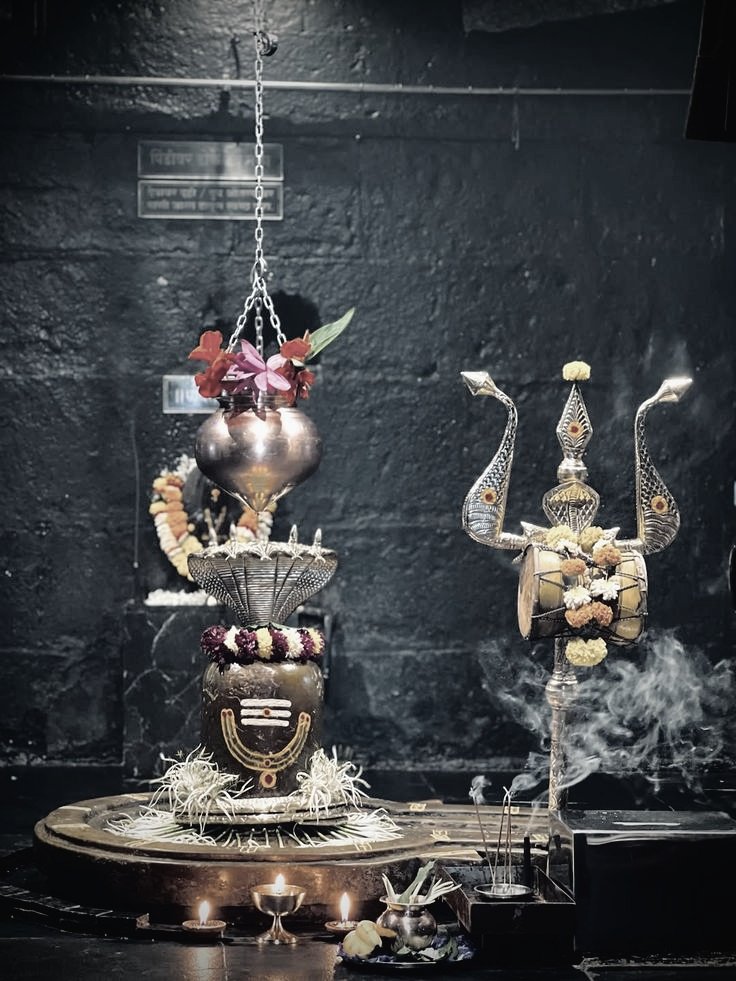 whatever🌵 tweet media