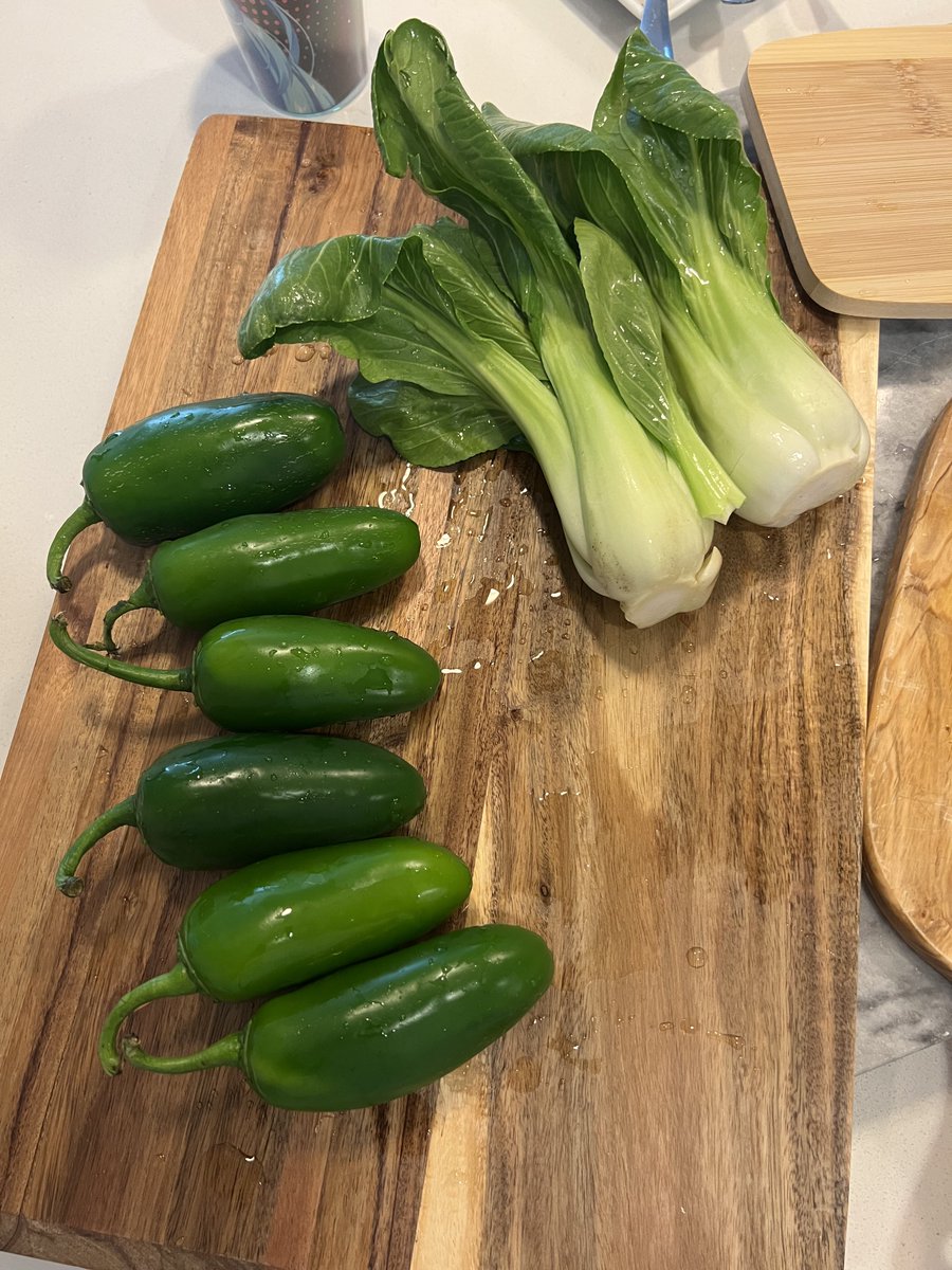 ⟠Palis⟠🐍 tweet media