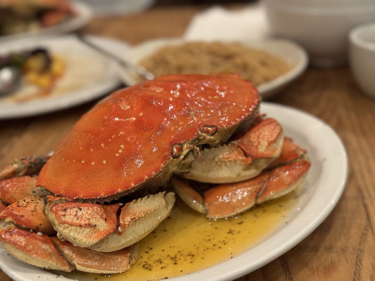 Yuichi Sakuraba tweet media