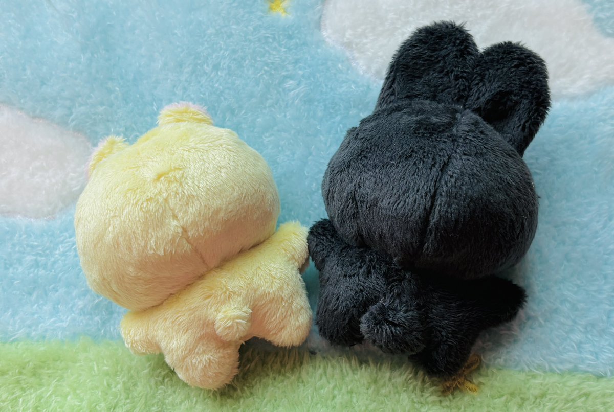 릴리피피🎀 tweet media