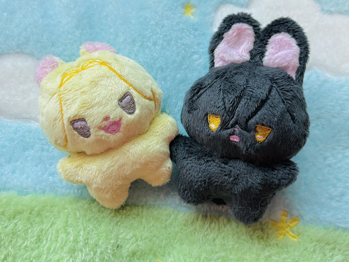 릴리피피🎀 tweet media