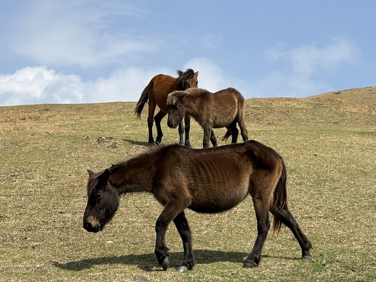 NAS&P250 tweet media