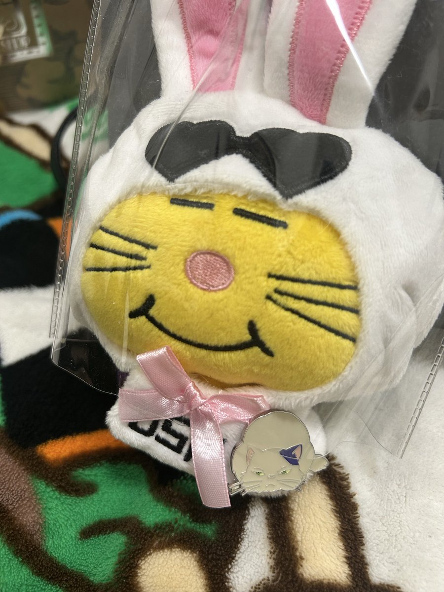 ShoKa24's tweet photo. いざ大阪へ！これは耳すばに出てくるムタをつけたネコますちゃん☺️ https://t.co/wW3cyvsWZ1