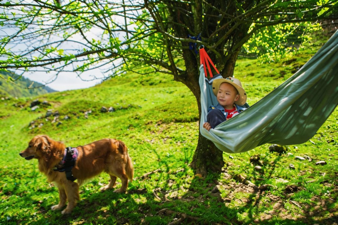 DiscoverWulong's tweet image. Spring in Wulong’s Fairy Mountain is a date with nature. 🌿
Endless meadows stretch before you, fresh green shoots just peeking through. The gentle breeze is perfect for flying kites.
#Wulong #FairyMountain #SpringInChina #Travel