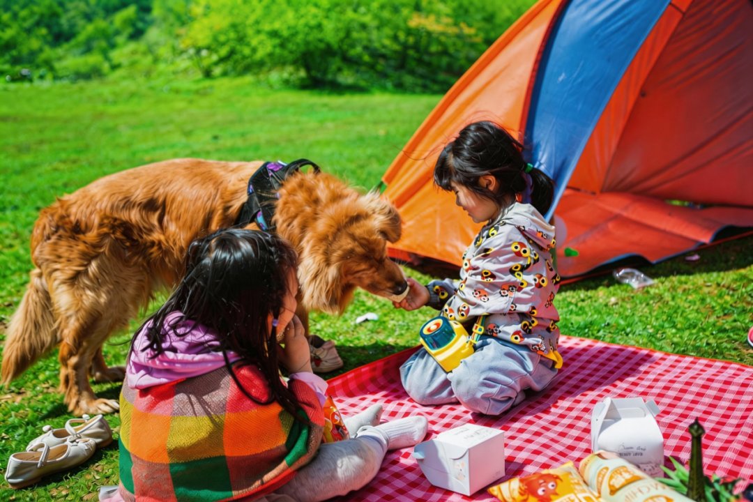 DiscoverWulong's tweet image. Spring in Wulong’s Fairy Mountain is a date with nature. 🌿
Endless meadows stretch before you, fresh green shoots just peeking through. The gentle breeze is perfect for flying kites.
#Wulong #FairyMountain #SpringInChina #Travel