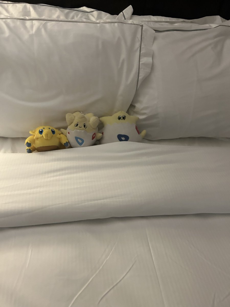 Reese Becker tweet media