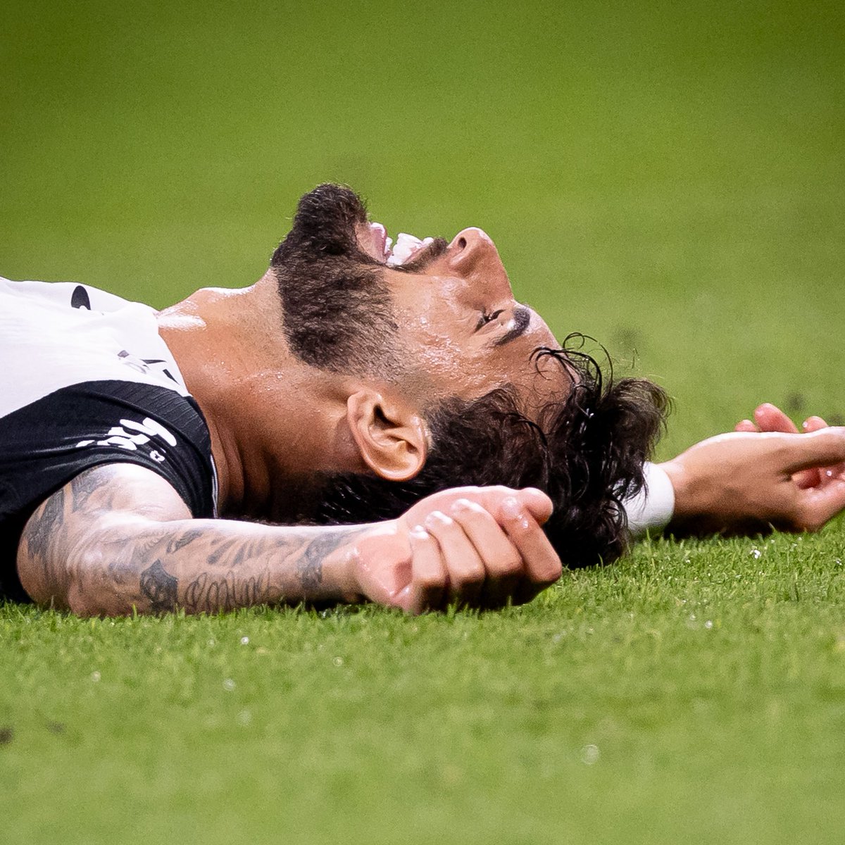 SCCP News tweet media