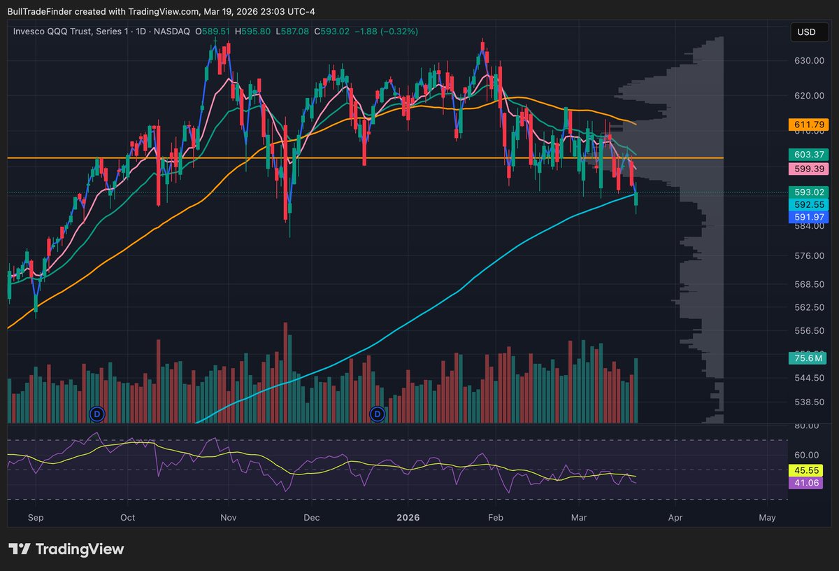 Gnotz (Bull) tweet media