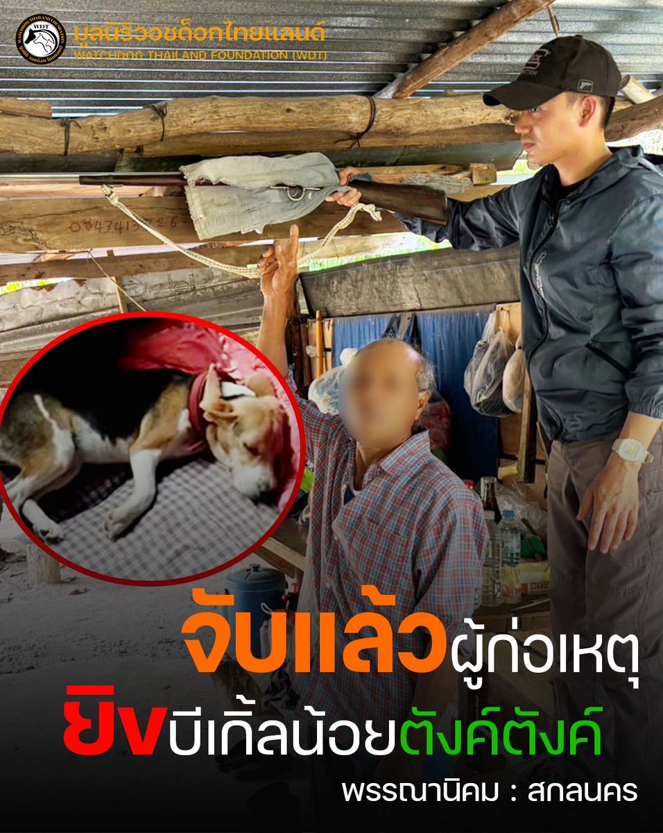 Watchdog Thailand Foundation tweet media