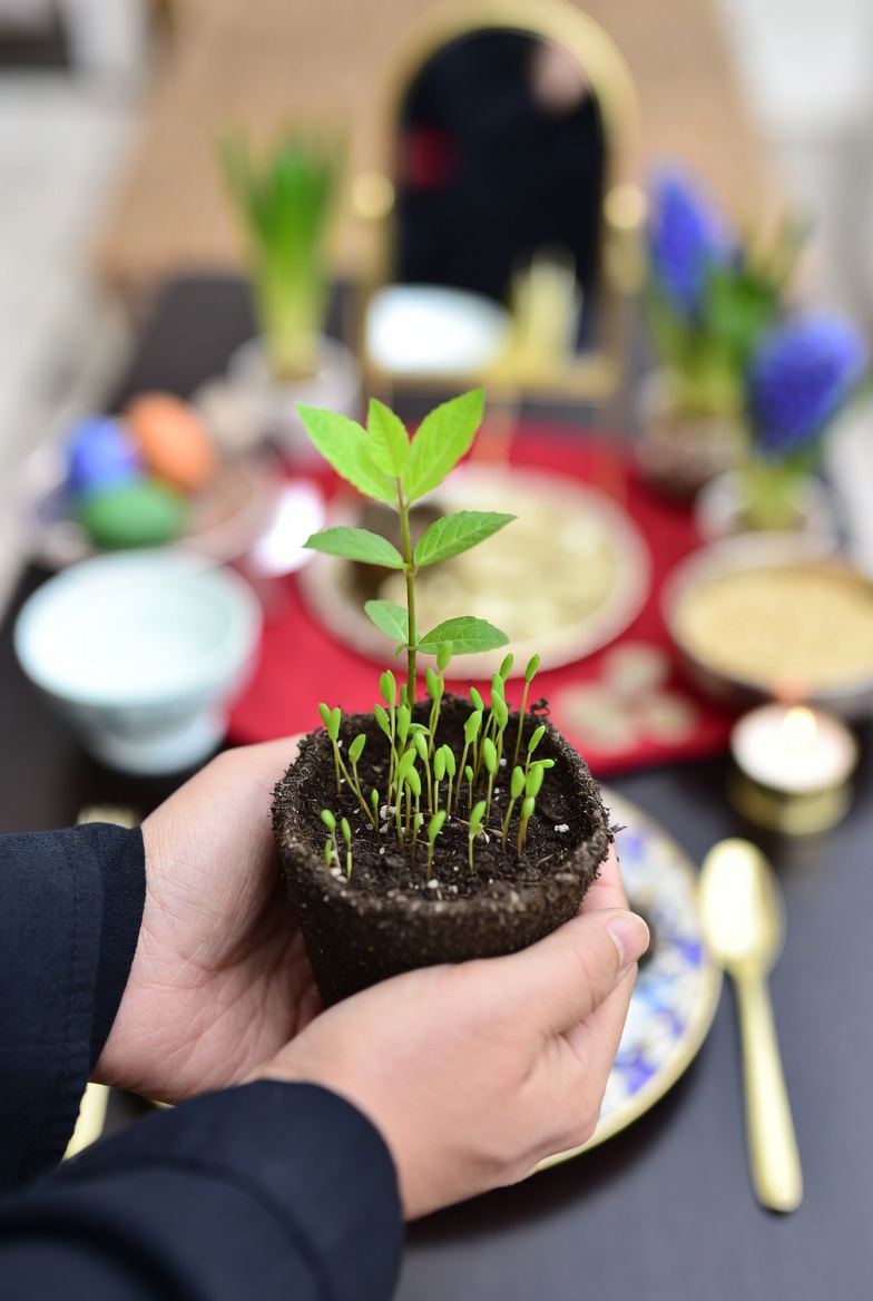 Capt. Caspian tweet media