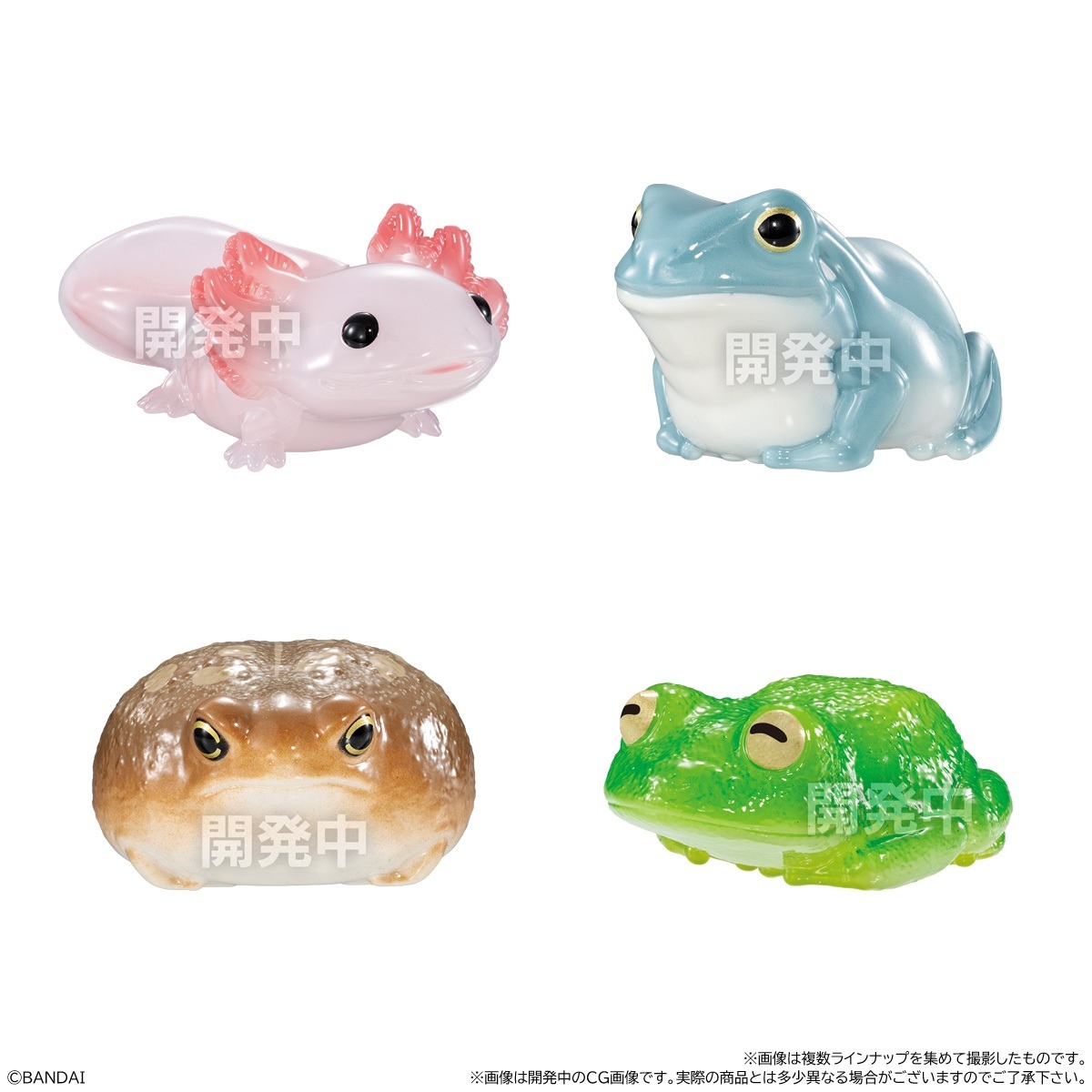 ✦ .⁺˖ 🐸新商品🐸⁺ . ✦ 水辺の生き物たちを “うるうるツヤツヤ”な