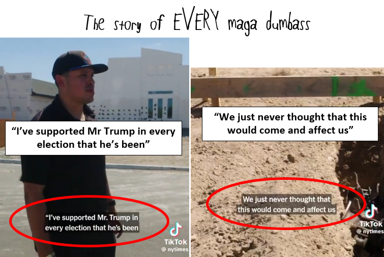 Baz_in_Oz Fella tweet media