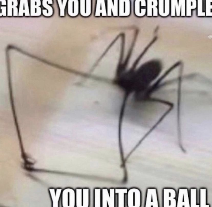 ghostfang tweet media