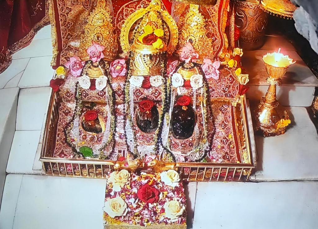 THE BONE DOCTOR OF J&K Dr Vikas Padha🇮🇳 tweet media