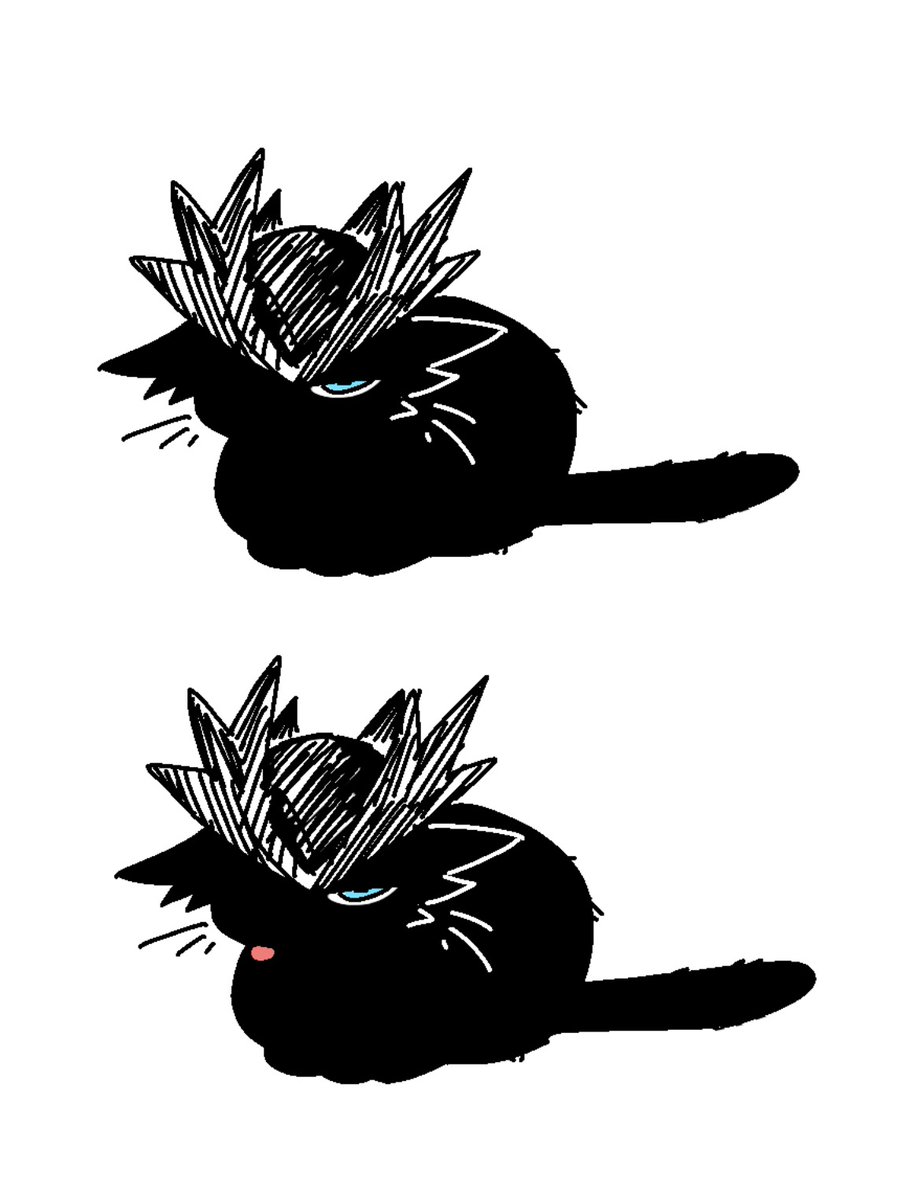 MAID DASH tweet media