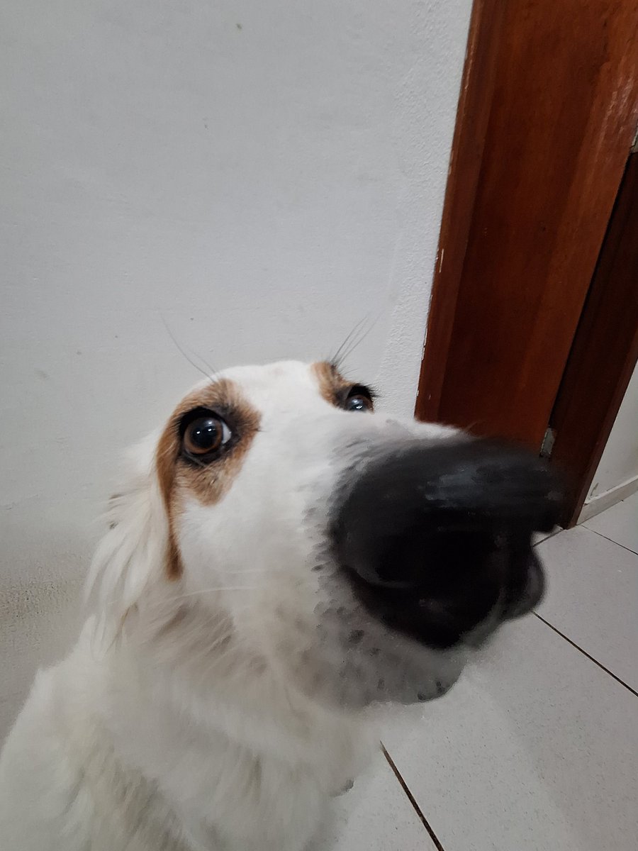 jorgebus ᝐ tweet media