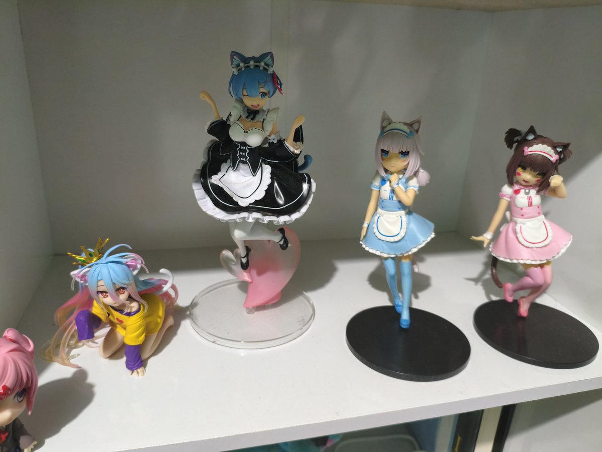 Mizuki 🦴 tweet media