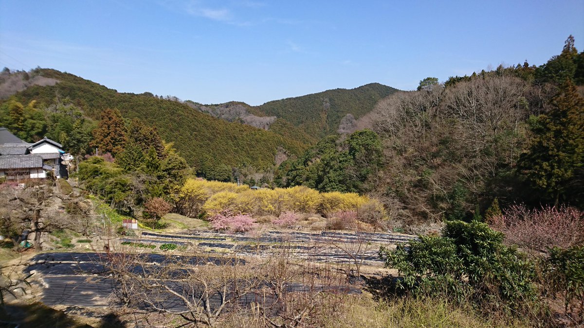 Gentleman in Japan tweet media