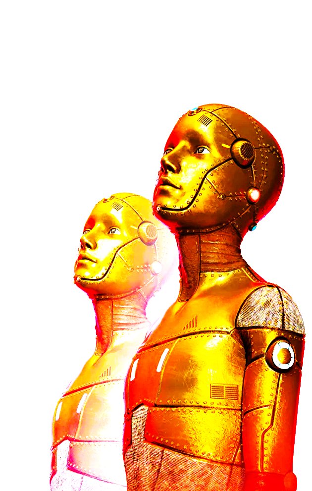 Ado Rosa tweet media