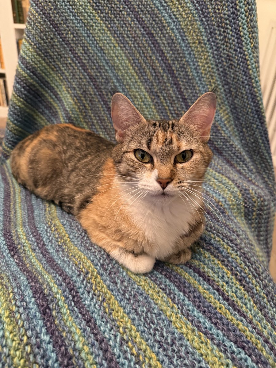 Prof Peter Hotez MD PhD DSc(hon) tweet media