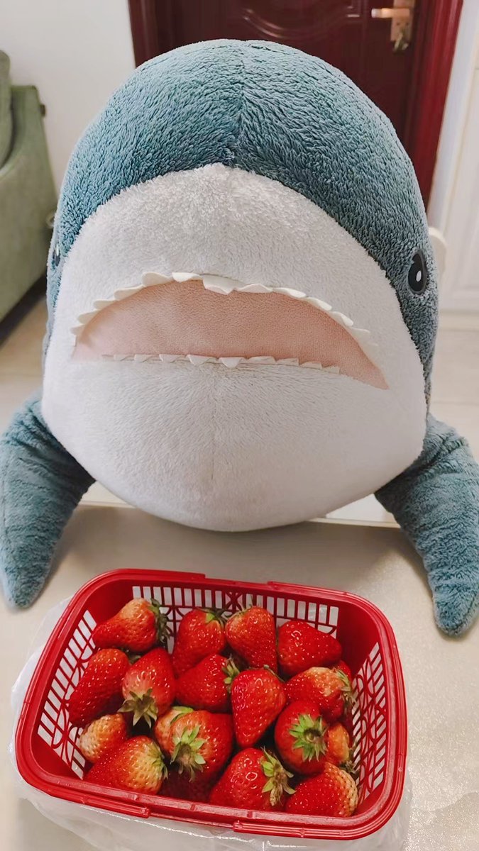 サメのメシ tweet media