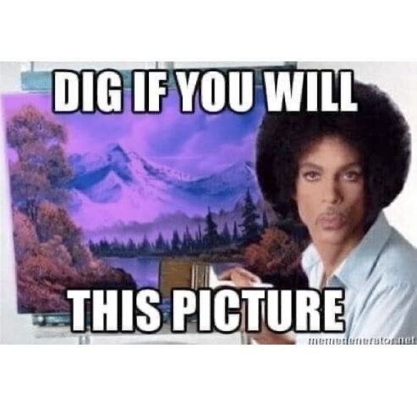 Monkeyjunk11 tweet media