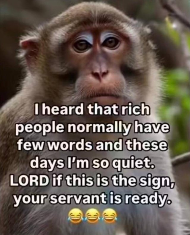 Uncle Billz tweet media