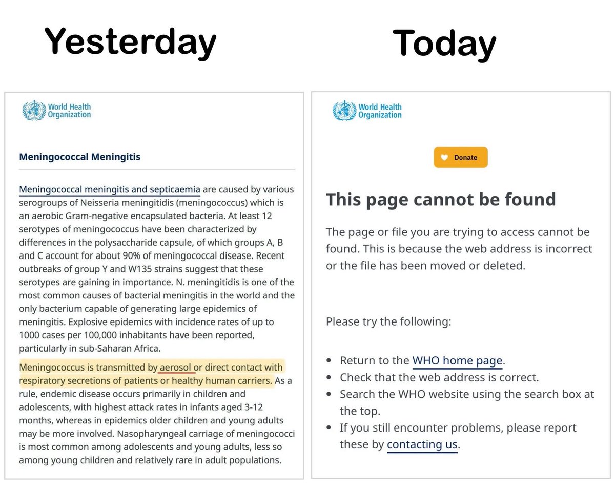 Cat in the Hat 🐈‍⬛ 🎩 🇬🇧 tweet media