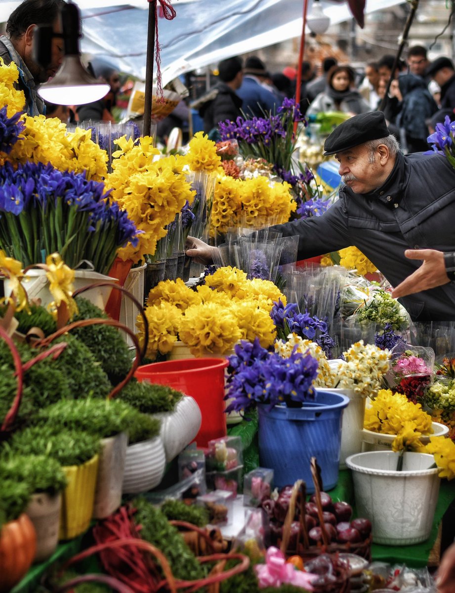 Alireza🇮🇷 tweet media