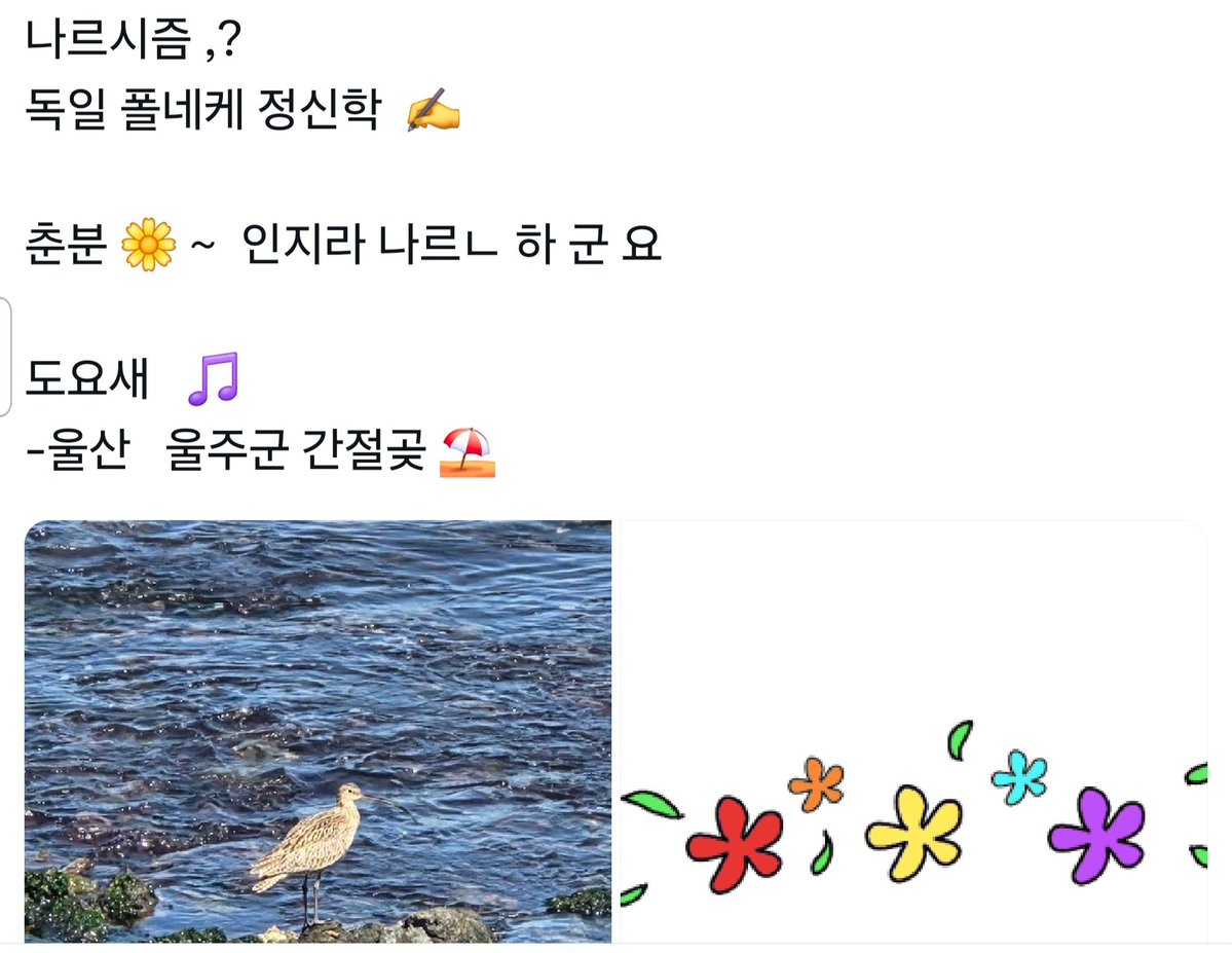 야생남 tweet media