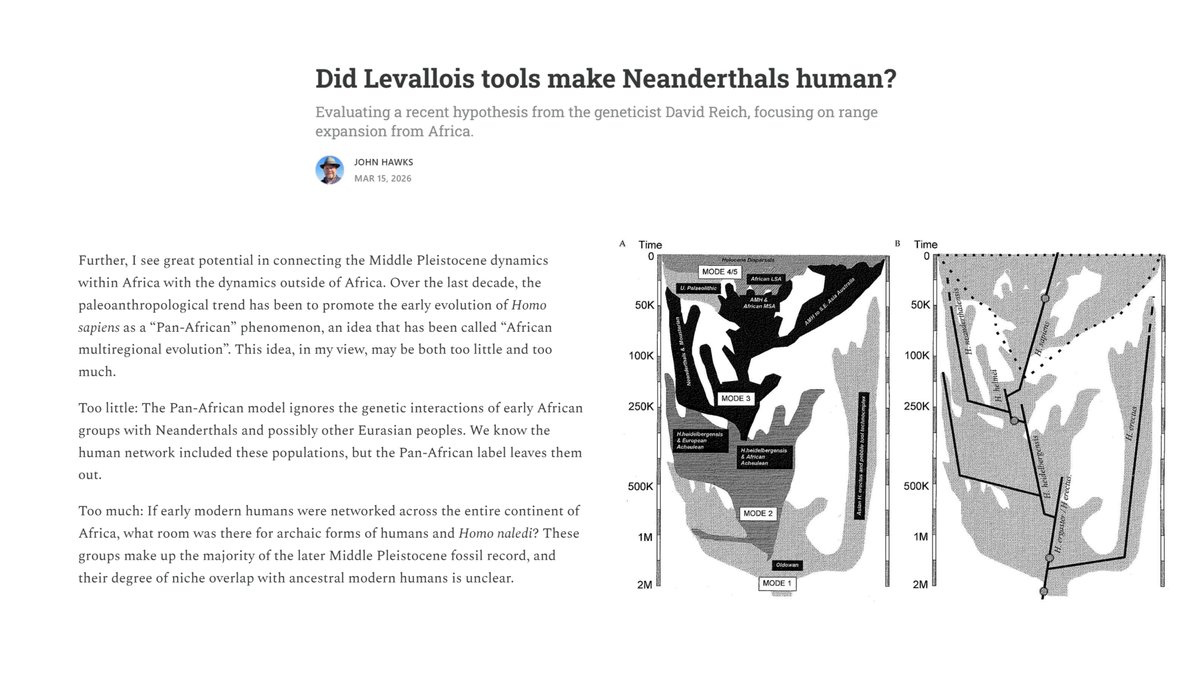 Compelling Archaeology tweet media